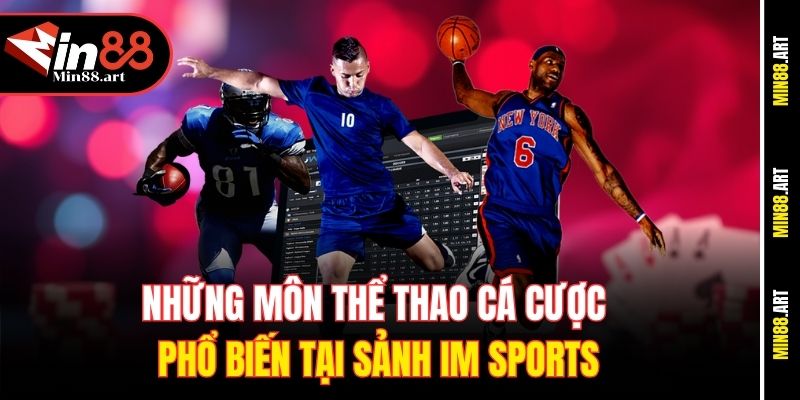 Những môn thể thao cá cược phổ biến tại sảnh IM Sports